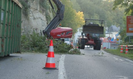 Travaux d'élagage à Bonneuil-Matours 