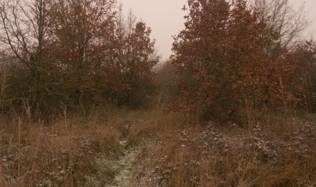 Terrain enfriché Deux-Sèvres 